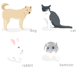 dog cat rabbit hamster